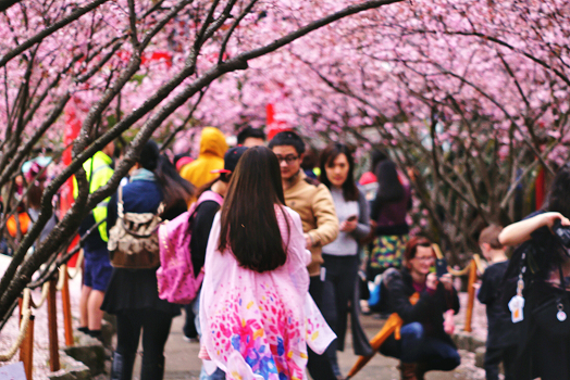 Asia Japón Somos especialistas en Japón 01