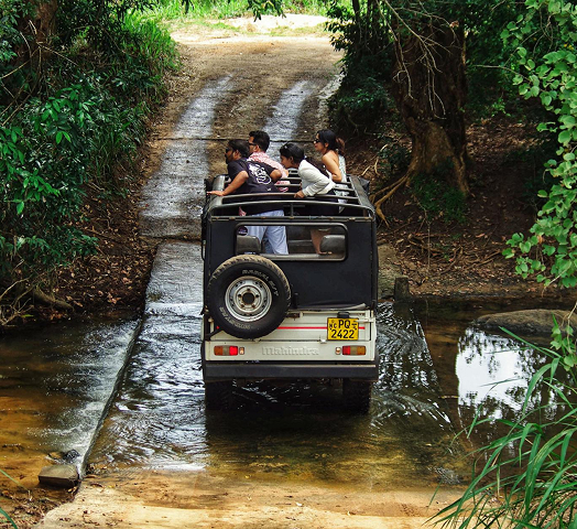 Asia Sri Lanka ¿Por qué viajar a Sri Lanka 02