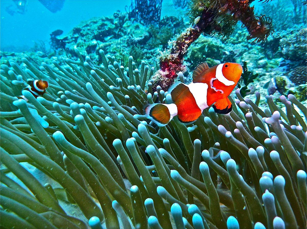 Itinerario Filipinas Islas Escondidas Día 04