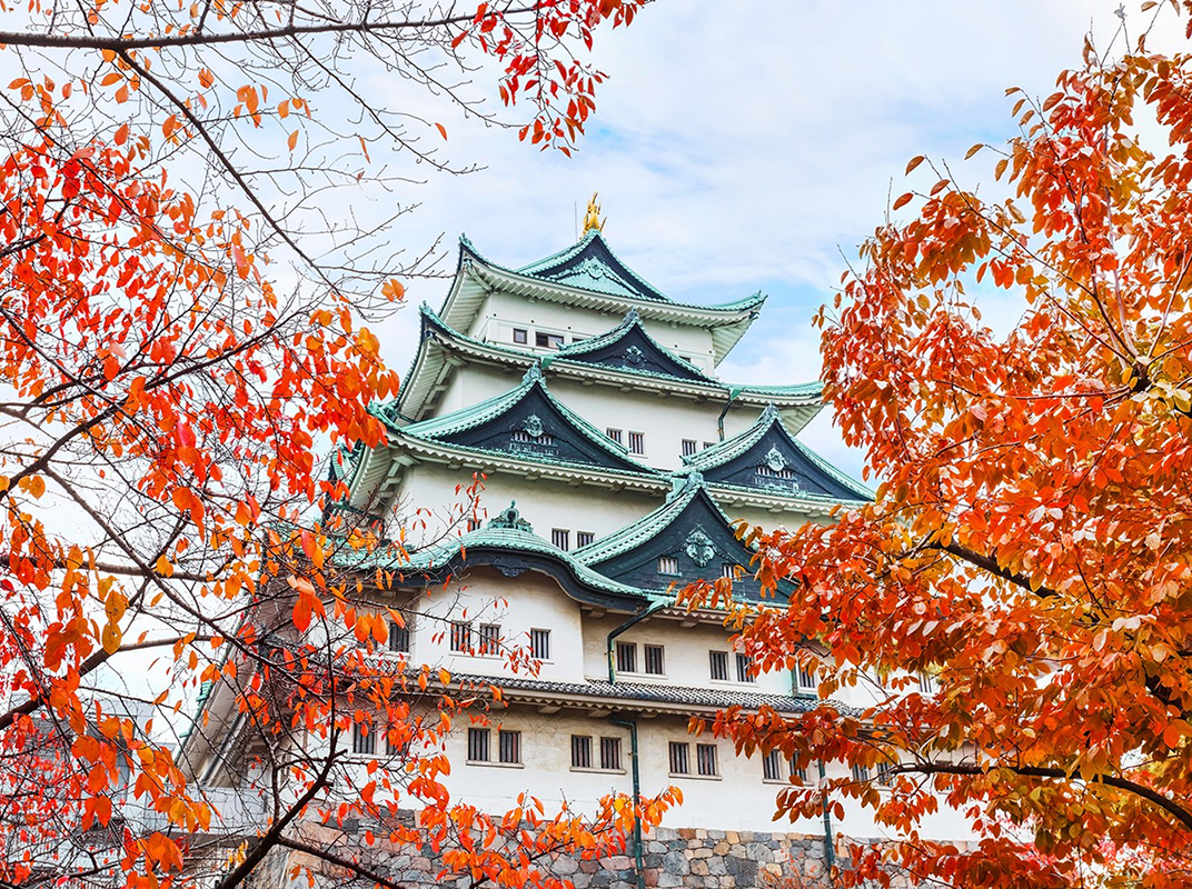 Itinerario Japón Memorias de Japón Día 07