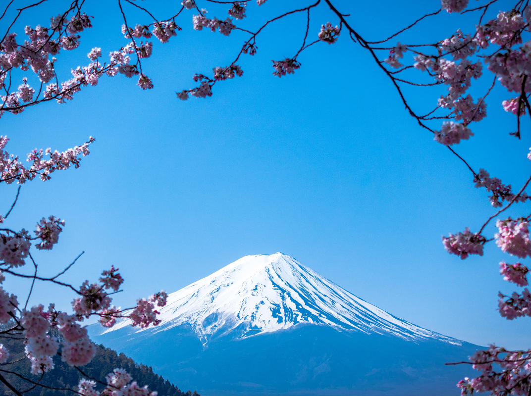 Itinerario Japón Memorias de Japón Día 10