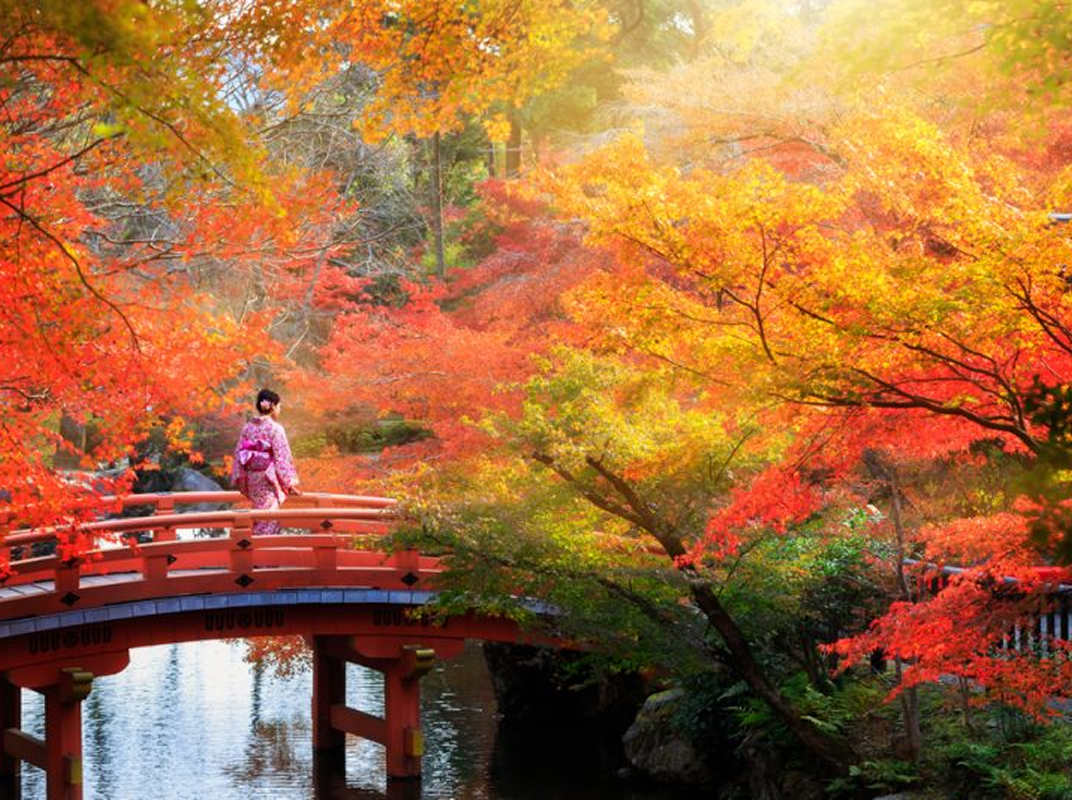 Itinerario Japón Viaje al Alma de Japón Día 07