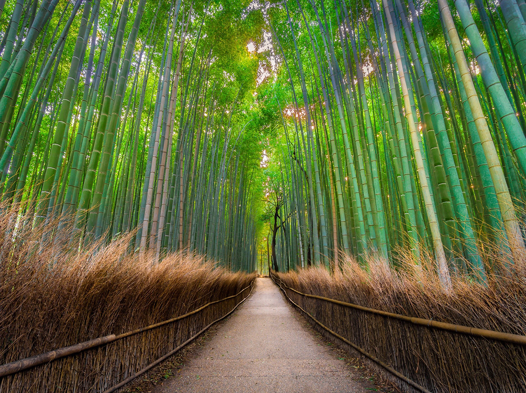 Itinerario Japón Viaje al Alma de Japón Día 08