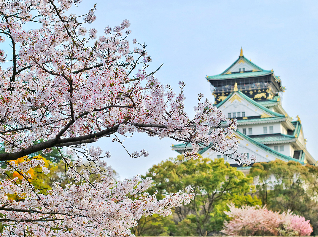 Itinerario Japón Viaje al Alma de Japón Día 11